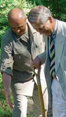 Принц Чарльз сажает пихту в Ботаническом саду на Соловках. Фото Артема Паршина.