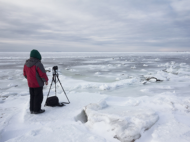 фото зимнего берега Белого моря вблизи Соловков