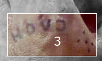 Vin Diesel Tattoo pics from the movie. Татуировка Туропа.